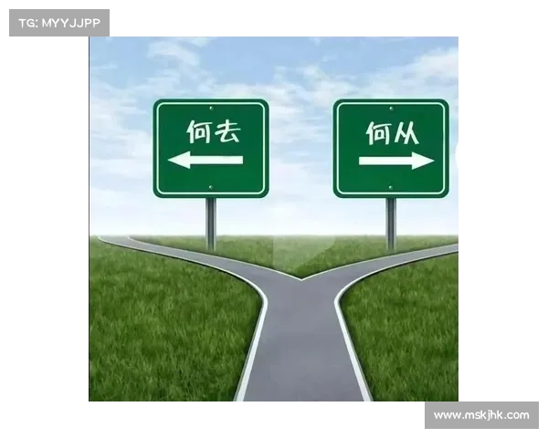 经历刀光传奇:在人生十字路口的抉择与成长之路 经历刀光传奇:在人生十字路口的抉择与成长之路